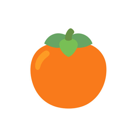 Stylish Persimmon Representation for Saladsのイラスト素材