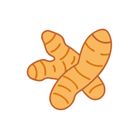 Turmeric Root Graphic for Spicesのイラスト素材
