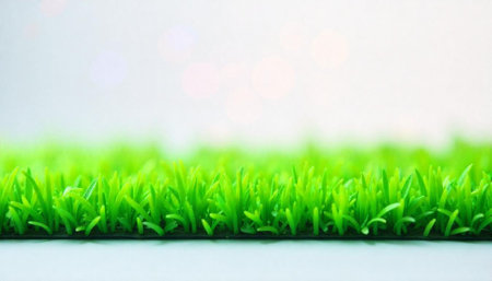 Artificial turf texture close up with blurred white backgroundの写真素材