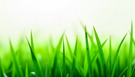 Close-up of vibrant green grass with soft bokeh background