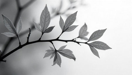 Monochrome leaves on branch conveying peace and natural simplicity