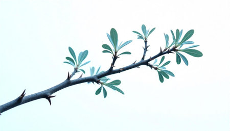 Thorny Branch with Green Leaves Against Pale Backgroundの写真素材