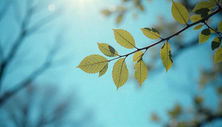 Spring leaves against a bright blue sky backgroundの写真素材