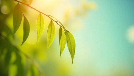 Branch with green leaves against blurred sky background