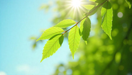 Sunlit green leaves against a clear blue sky backdrop