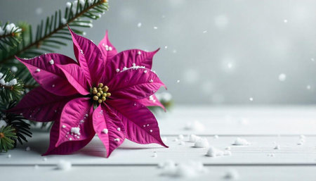 Festive poinsettia flower on a white wood surface with snowの写真素材