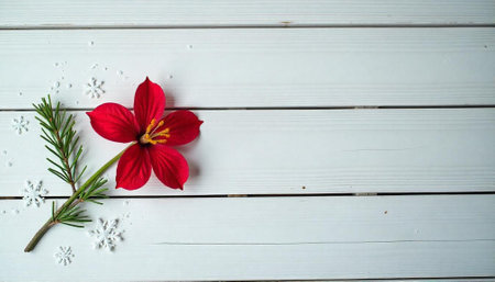 Festive red flower and pine with snowflakes on wood