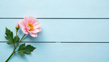 Pink flower and wooden background representing freshness and spring
