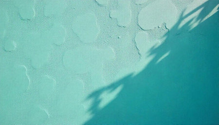 Abstract aerial view of pool water and plant shadow