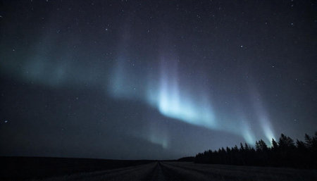 Aurora borealis over the field with trees at nightの写真素材