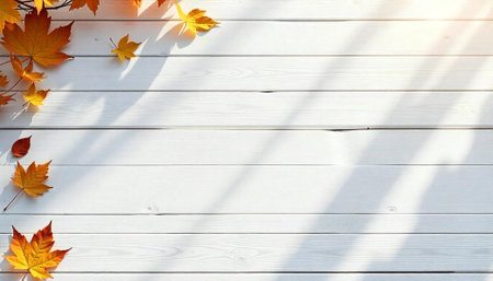Autumn maple leaves on white wooden board with sunlightの写真素材