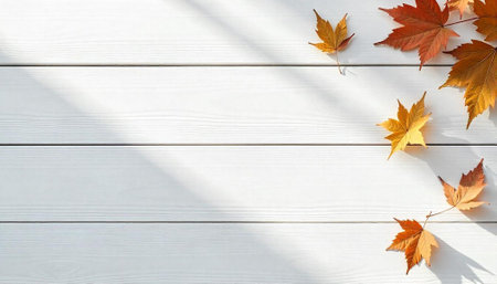 Autumn maple leaves on white wooden background with sun raysの写真素材