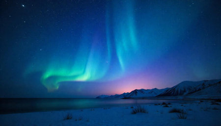 Majestic aurora borealis lights up a snowy, coastal landscapeの写真素材