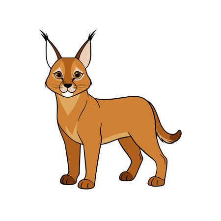 Caracal Cartoon Illustration of African Wild Cat Stanceのイラスト素材