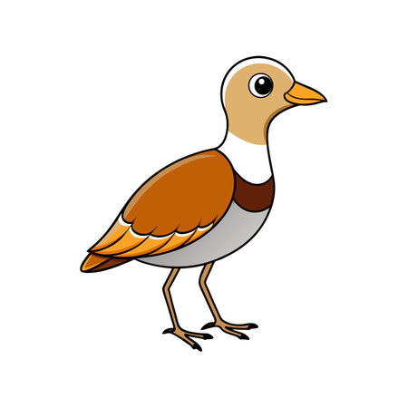 Illustration of cartoon bird standing in profile on whiteのイラスト素材