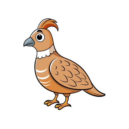 Cartoon quail illustration with simple details and charming appealのイラスト素材