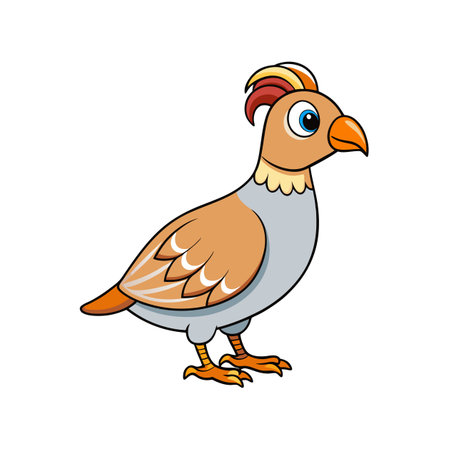 Cartoon quail with crest stands on white backgroundのイラスト素材