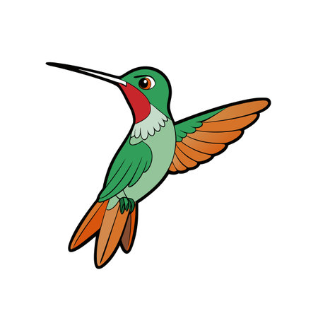 Vibrant cartoon hummingbird illustration with outstretched wings and feathersのイラスト素材