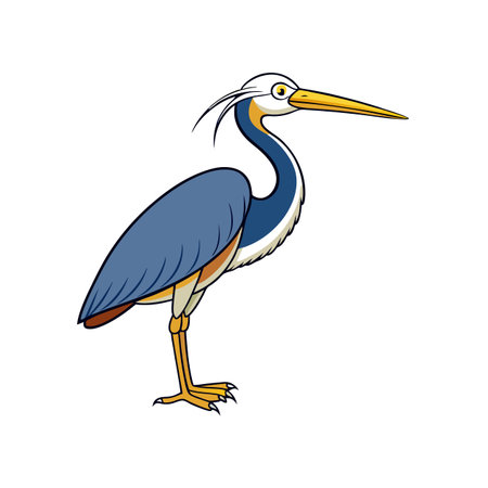 Elegant heron illustration with clean lines and bright colorsのイラスト素材