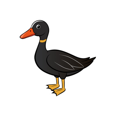 Cartoon Black Duck Illustration Standing Isolated on White Backgroundのイラスト素材