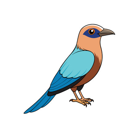 Cartoon illustration of colorful European roller bird on whiteのイラスト素材