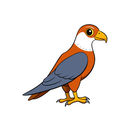 Cartoon style falcon illustration with vibrant colors standing uprightのイラスト素材