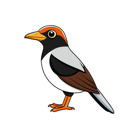 Colorful cartoon bird illustration with clean lines and detailsのイラスト素材