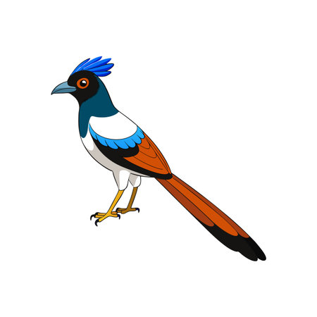 Vibrant Azure Winged Bird with Long Tail Illustrationのイラスト素材