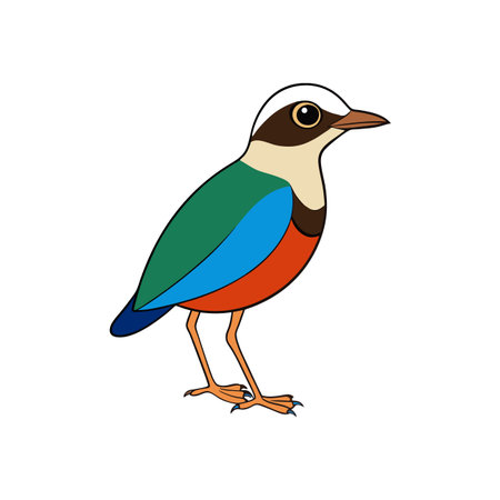 Colorful cartoon bird standing on a white background isolatedのイラスト素材