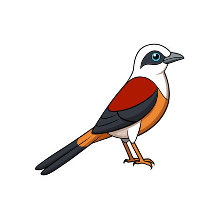 Cartoon illustration of an isabelline shrike bird standing isolatedのイラスト素材