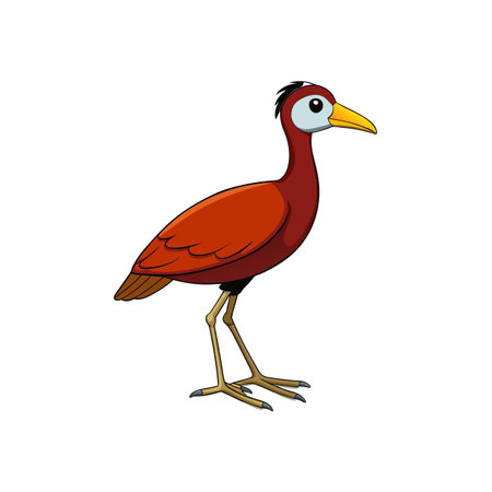 Cartoon jacana bird illustration, standing against white backgroundのイラスト素材