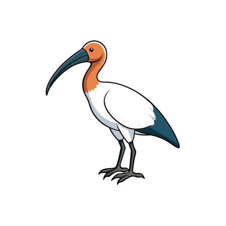 Cartoon Ibis Standing Isolated On White Backgroundのイラスト素材