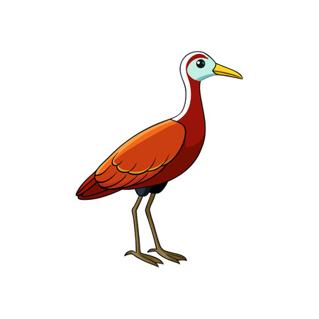 Cartoon Jacana Illustration with Brown, Red, and Yellow Plumageのイラスト素材