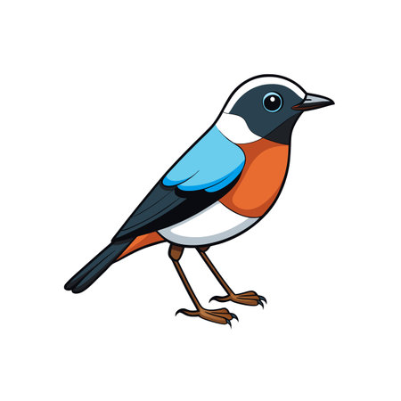 Cartoon illustration of a colorful robin bird standing upright