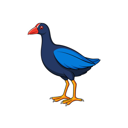 Colorful cartoon Pukeko bird standing isolated on white backgroundのイラスト素材