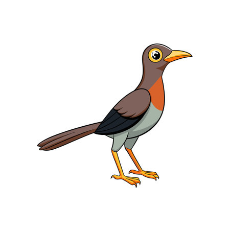 Cartoon illustration of a colorful bird standing on white