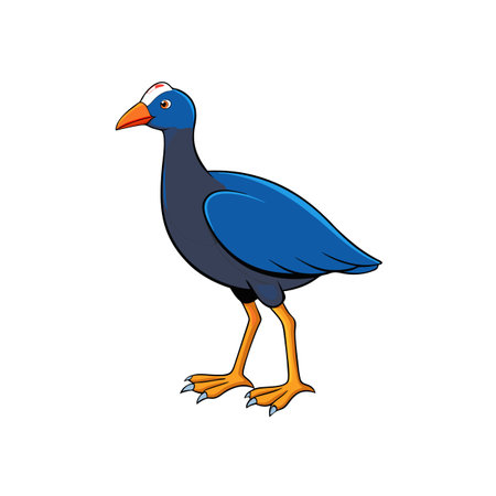 Colorful Purple Swamphen illustration with simple cartoon style on whiteのイラスト素材