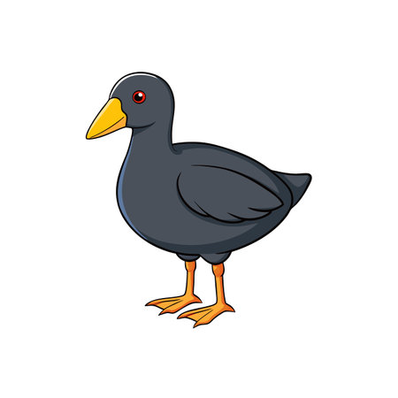 Cartoon style black bird with yellow beak illustrationのイラスト素材