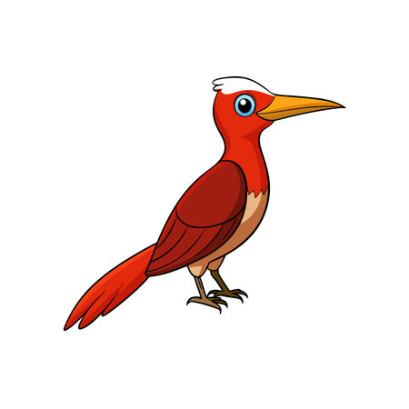 Cartoon red bird isolated on white background illustration artのイラスト素材