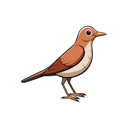 Cartoon bird vector illustration of a nightingale on whiteのイラスト素材