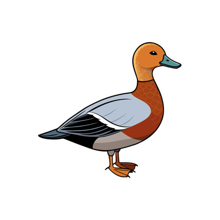 Illustrated duck with orange head and teal beakのイラスト素材