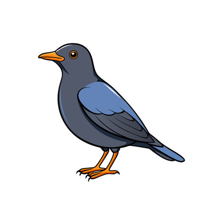 Illustration of a blackbird with orange beak and feetのイラスト素材