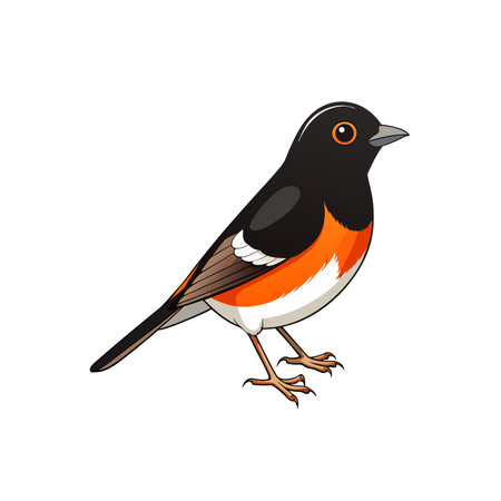 Illustration of a male Eastern Towhee bird perched sidewaysのイラスト素材