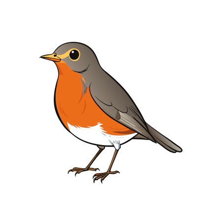 Cartoon robin illustration with vibrant colors on white backgroundのイラスト素材