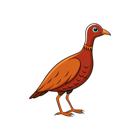 Cartoon Partidge Illustration with Bright Colors on White Backgroundのイラスト素材