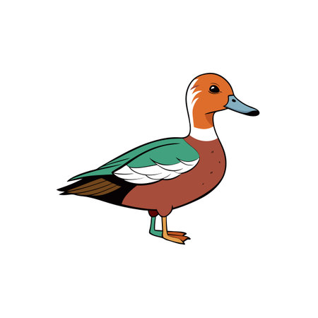 Cartoon duck illustration, wildlife drawing, cartoon style animalのイラスト素材