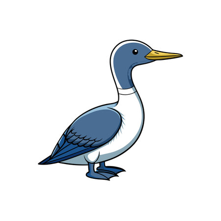 Cartoon style mallard duck vector illustration on white backgroundのイラスト素材