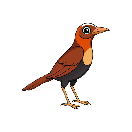 Cartoon illustration of a cute brown bird standingのイラスト素材