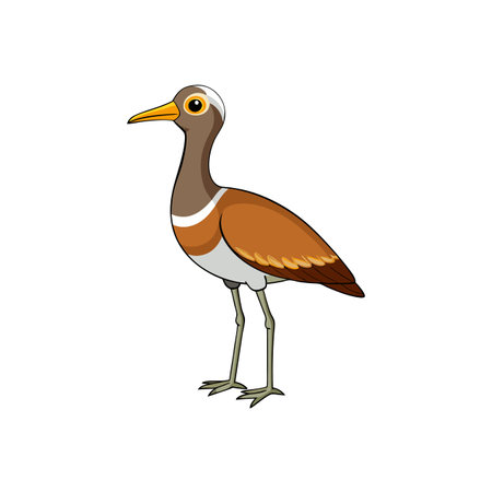 Cartoon bird standing profile on a white background vectorのイラスト素材