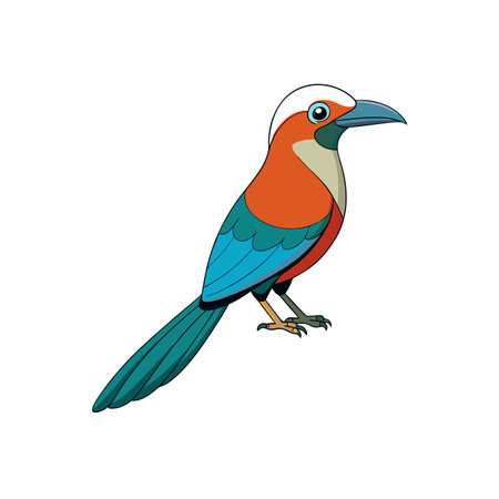 Colorful Motmot Bird Illustration on White Background Stock Imageのイラスト素材